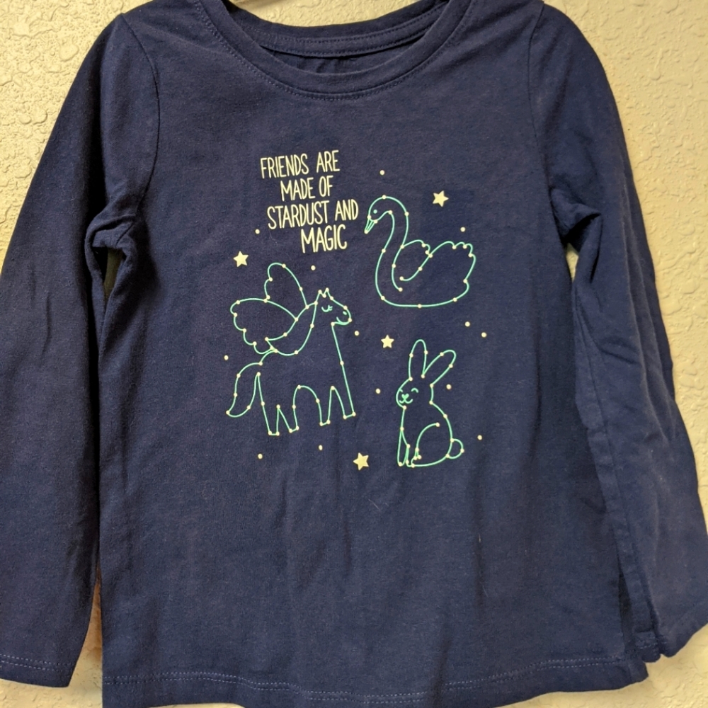 Cat & Jack girls top